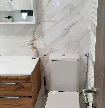 Apartma Sivi Zako Apartment